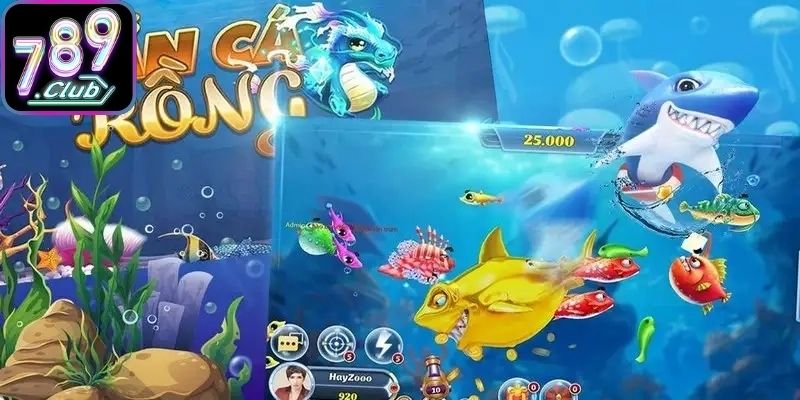 Những nét sơ bộ giới thiệu qua bắn cá rồng 789Club