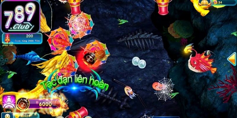 Kinh nghiệm cực hay dân chuyên chia sẻ với bạn